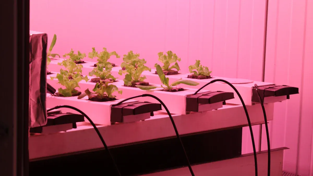 Kan lodrette vækstlys virkelig hjælpe dine planter til at vokse bedre